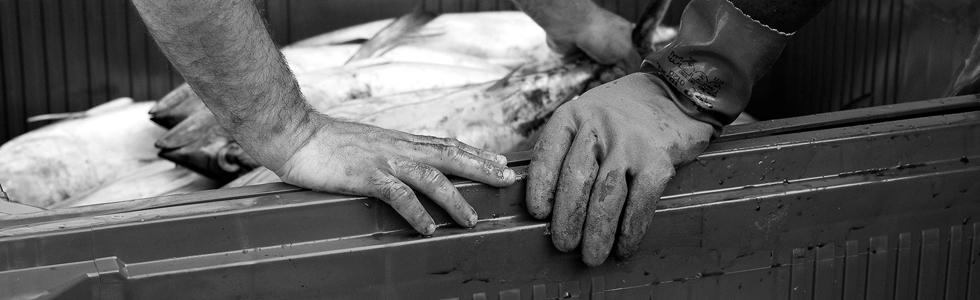 Conservando Costumbres